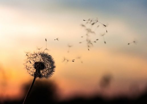 L’insostenibile leggerezza dell’essere